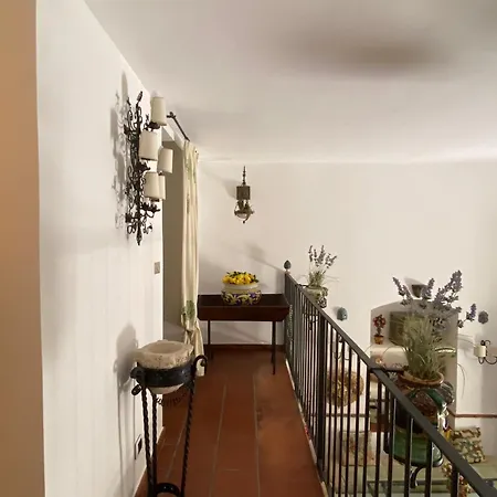 Apartment Casa Ivi In Center